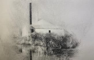 "Albufera" de Vicente Colom