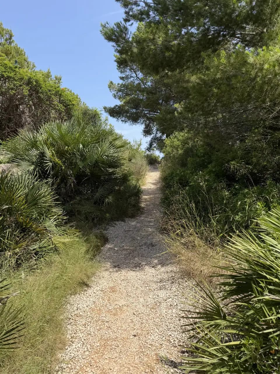 La Falzia (3)