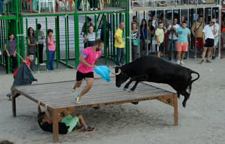 Bous al carrer